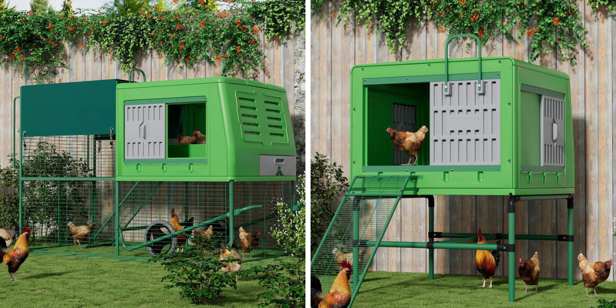 plastove-kurniky-mobilni-kurniky-blog-2